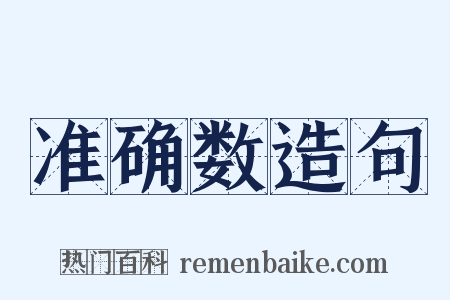 准确数造句是什么意思的图片